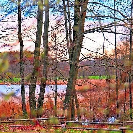 Zalesie * Barczewo
