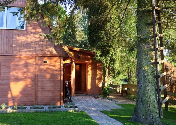 Zalesie Alojamento de Turismo Selvagem Barczewo